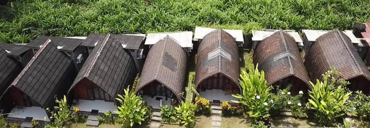 Morning Bali Bungalow Canggu  Bagian luar foto