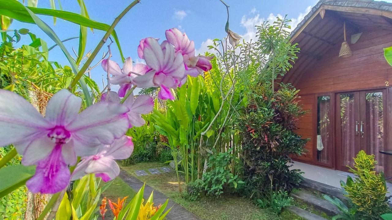 Morning Bali Bungalow Canggu  Bagian luar foto