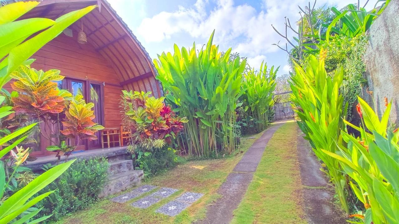 Morning Bali Bungalow Canggu  Bagian luar foto