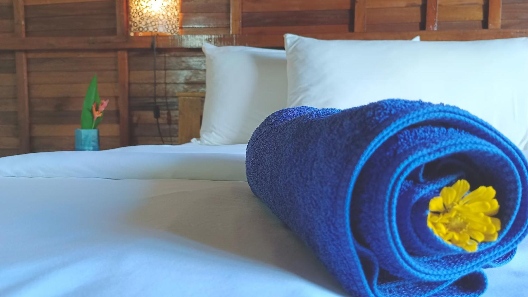Morning Bali Bungalow Canggu  Bagian luar foto